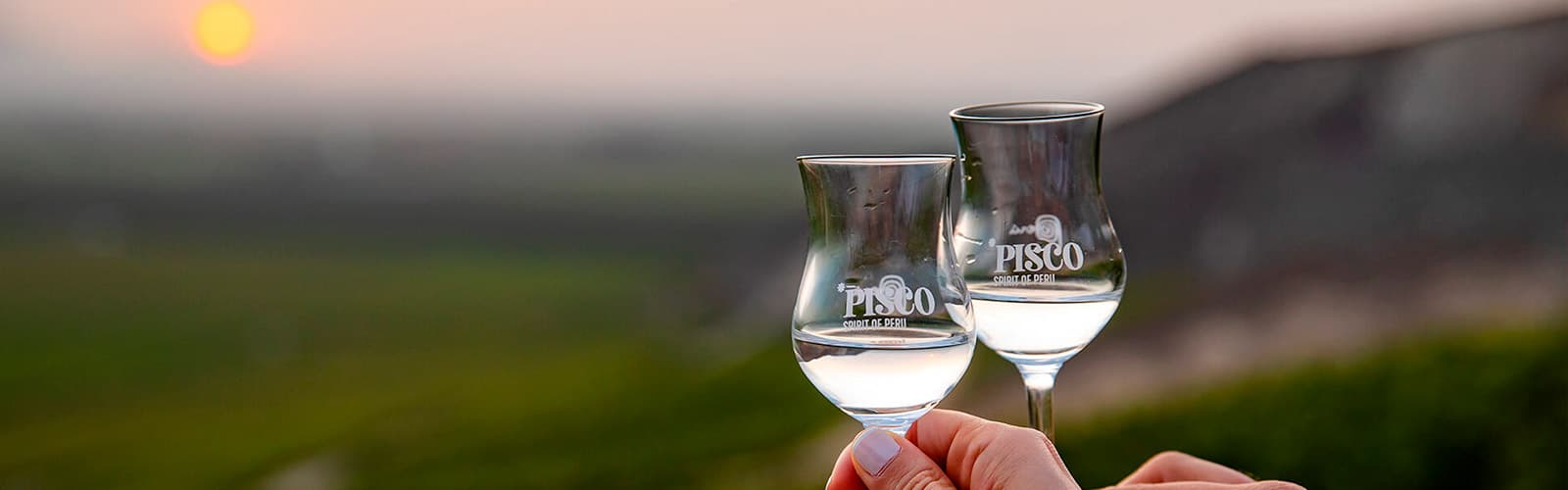Pisco ピスコ